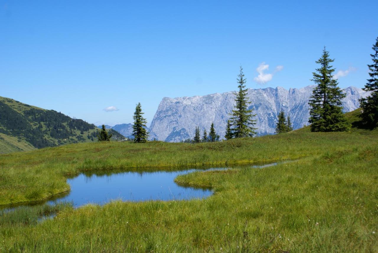 Das Sonneck Mühlbach am Hochkönig Exteriér fotografie