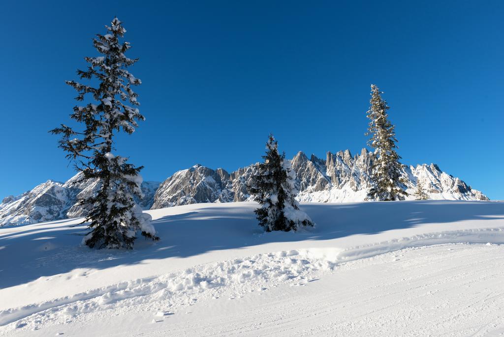 Das Sonneck Mühlbach am Hochkönig Exteriér fotografie