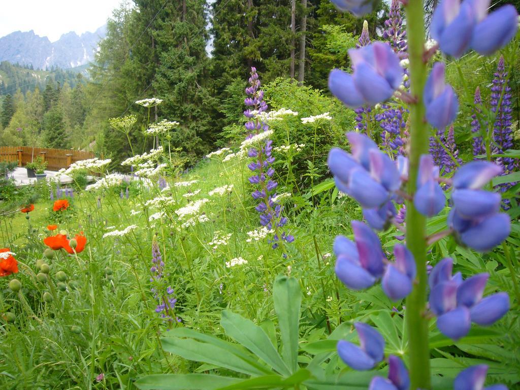 Das Sonneck Mühlbach am Hochkönig Exteriér fotografie